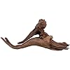 Natural Driftwood for Aquarium Decor, W23×D5.5×H10 Large Drift Wood Decorations for Reptile Hide, Fish Tank