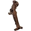 Natural Driftwood for Aquarium Decor, W23×D5.5×H10 Large Drift Wood Decorations for Reptile Hide, Fish Tank