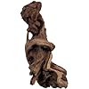 Natural Driftwood for Aquarium Decor, W23×D5.5×H10 Large Drift Wood Decorations for Reptile Hide, Fish Tank