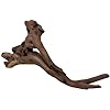 Natural Driftwood for Aquarium Decor, W23×D5.5×H10 Large Drift Wood Decorations for Reptile Hide, Fish Tank