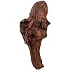 Natural Driftwood for Aquarium Decor, W23×D7×H13 Large Drift Wood Decorations for Reptile Hide, Fish Tank