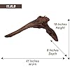 Natural Driftwood for Aquarium Decor, W41×D8×H18 Large Drift Wood Decorations for Reptile Hide, Fish Tank