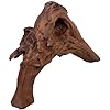 Natural Driftwood for Aquarium Decor, W23×D7×H13 Large Drift Wood Decorations for Reptile Hide, Fish Tank