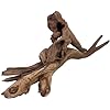 Natural Driftwood for Aquarium Decor, W23×D5.5×H10 Large Drift Wood Decorations for Reptile Hide, Fish Tank