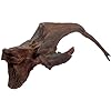 Natural Driftwood for Aquarium Decor, W37×D14×H15 Large Drift Wood Decorations for Reptile Hide, Fish Tank