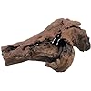 Natural Driftwood for Aquarium Decor, W27×D15×H11 Large Drift Wood Decorations for Reptile Hide, Fish Tank