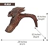 Natural Driftwood for Aquarium Decor, W28×D12×H18 Large Drift Wood Decorations for Reptile Hide, Fish Tank