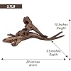 Natural Driftwood for Aquarium Decor, W23×D5.5×H10 Large Drift Wood Decorations for Reptile Hide, Fish Tank