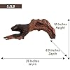 Natural Driftwood for Aquarium Decor, W26×D6.5×H10 Large Drift Wood Decorations for Reptile Hide, Fish Tank