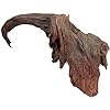 Natural Driftwood for Aquarium Decor, W37×D14×H15 Large Drift Wood Decorations for Reptile Hide, Fish Tank