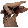 Natural Driftwood for Aquarium Decor, W28×D12×H18 Large Drift Wood Decorations for Reptile Hide, Fish Tank