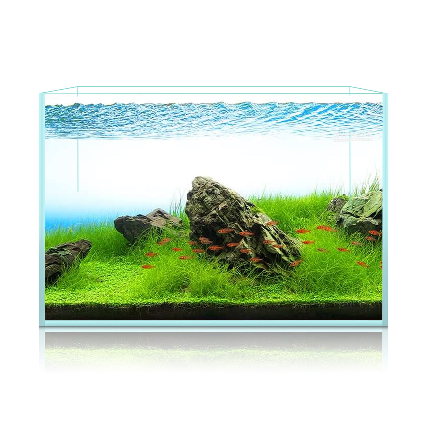 Aquarium en verre, noir : L.60 x P.30 x H.34 cm - 61 litres